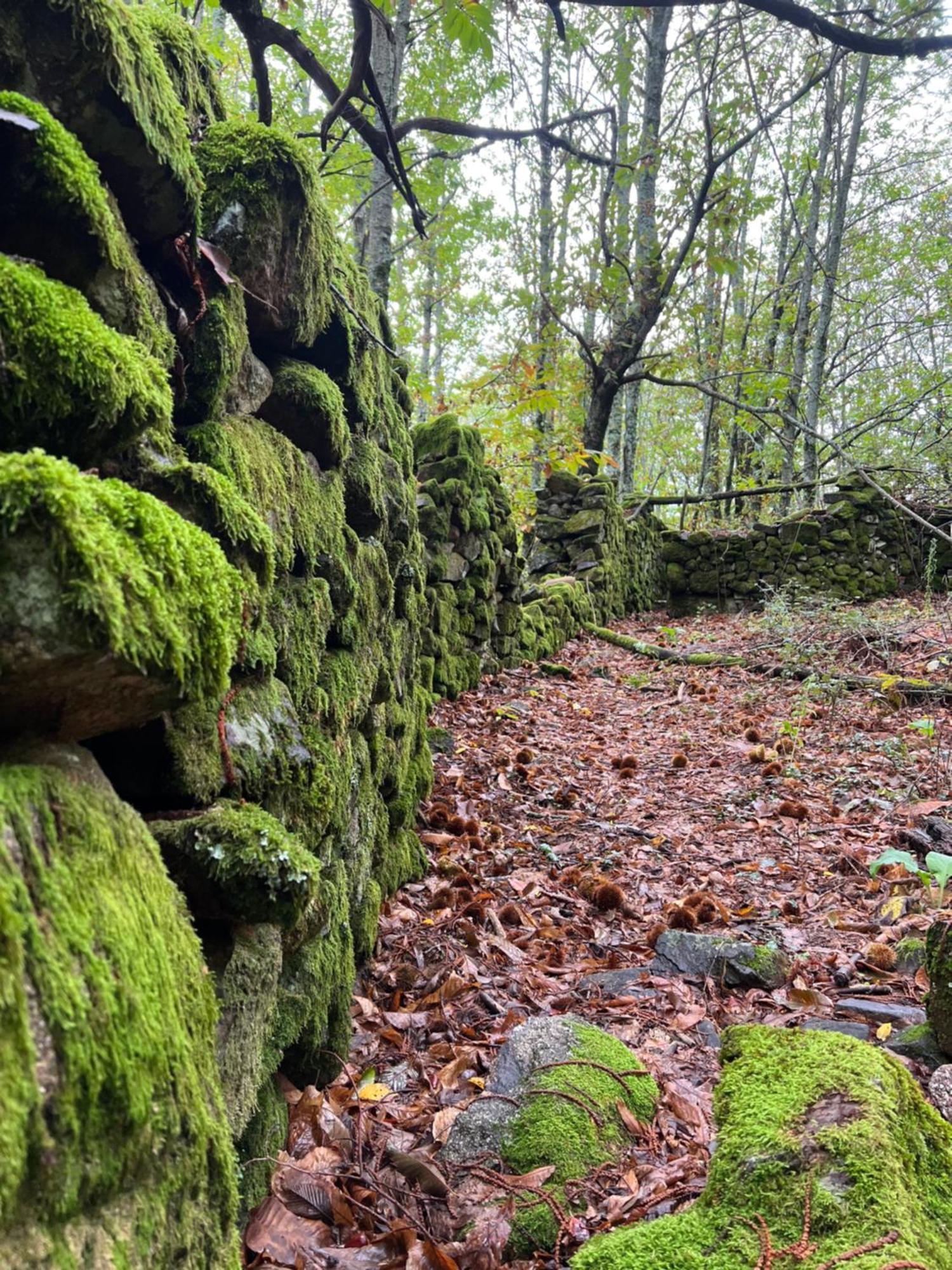 Ferienhaus Terracea